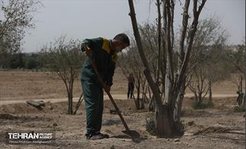 اینجا کارگاهه؛ پروژه بام ری 60