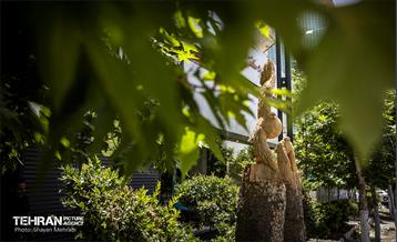 جان دوباره در درختستان 25