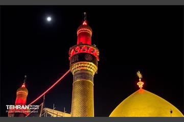 حرم مطهر امام علی (ع) در آستانه اربعین حسینی 9