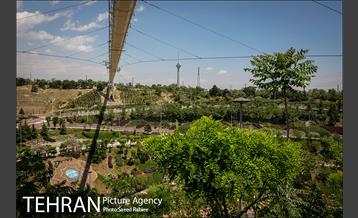 پل معلق بوستان نهج البلاغه 8