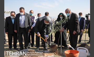 مراسم درختکاری در بوستان پردیسان 13