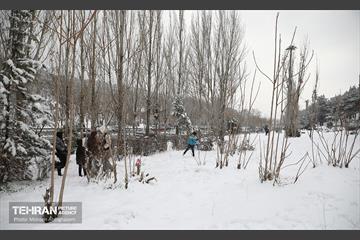روز برفی تهران - 2 8