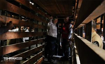 بازدید استاندار تهران از مرکز آموزش آتش‌نشانی شهرداری تهران 16