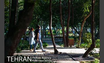 بوستان باغ ایرانی 5