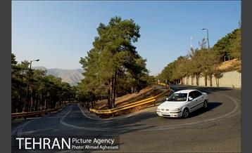 پارک جنگلی چیتگر 17