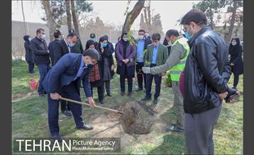 جشن نهال هاى کوچک شهر و تخم مرغ هاى رنگى در منطقه ٩