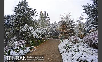 بارش برف پاییزی در بوستان طالقانی 6