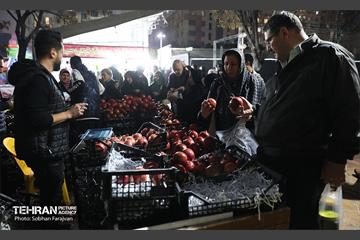 دوازدهمین جشنواره انار  1