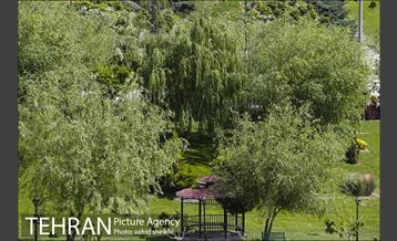 بوستان جوانمردان 19