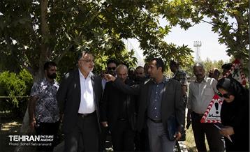 بازدید شهردار تهران از کمپ تیم‌های ملی فوتبال 30