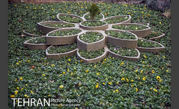 پارک ساعی 28