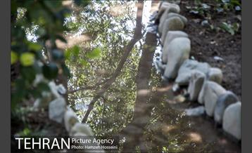 بوستان باغ ایرانی 8