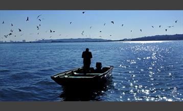 امروز طهران 3