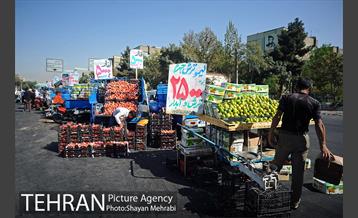 میوه فروشان خیابانی 3