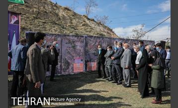 مراسم درختکاری در بوستان پردیسان 9