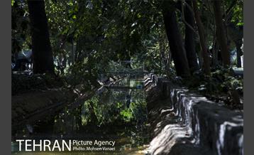 بلوار کشاورز 19