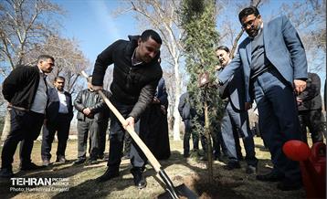 سنت حسنه درختکاری، یادبود شهدای منطقه6