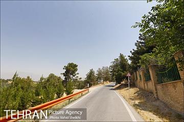 بوستان جنگلی یاس فاطمی 2