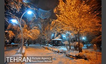 روز برفی در پارک لاله 19