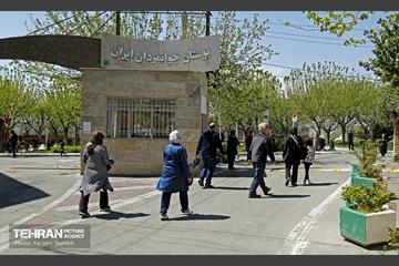 روز طبیعت در منطقه ۵ 39
