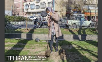 جشن نهال هاى کوچک شهر و تخم مرغ هاى رنگى در منطقه ٩