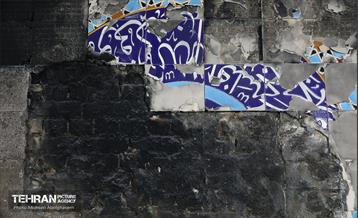 بازدید سفرا از تخریب اموال عمومی شهر 50