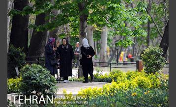 رویش گل های لاله در باغ ایرانی 35