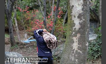 بوستان جمشیدیه در نوروز  28