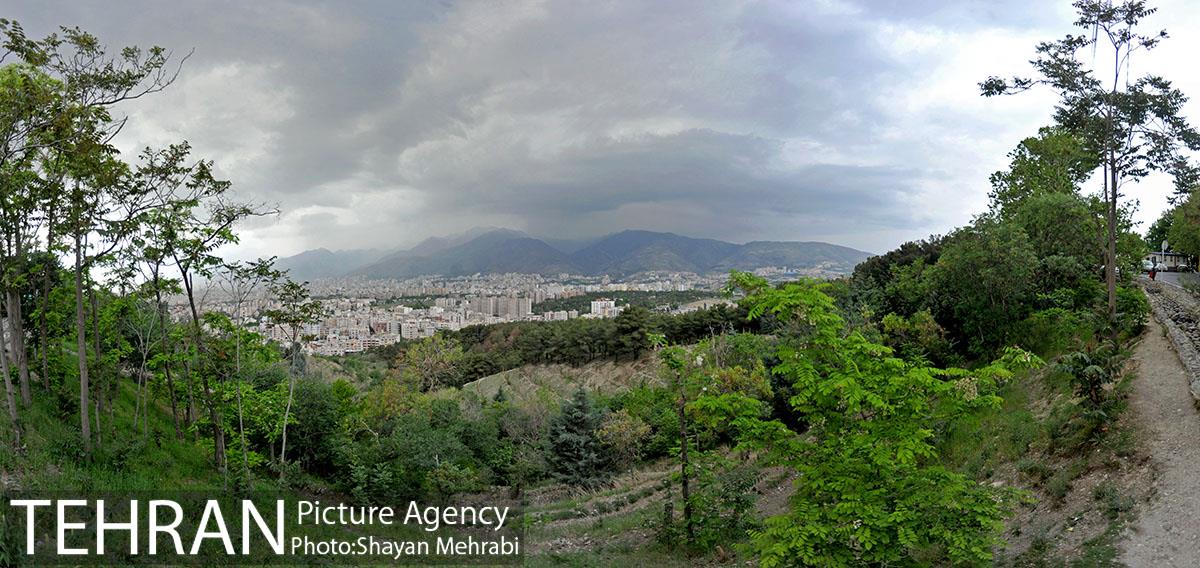 پارک جنگلی لویزان‎ 1