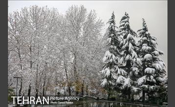 برف زمستانی پارک جمشیدیه 17