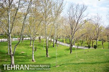 روز طبیعت متفاوت شهر تهران-1 16