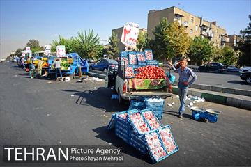 میوه فروشان خیابانی 17