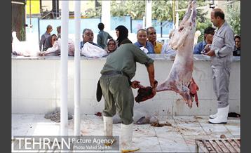 بازدید سعید راد از مراکز عرضه دام  16