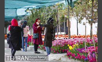 پیاده راه لاله برای مادران 26