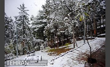 بارش برف پاییزی در بوستان طالقانی 28