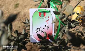 آیین پدران آسمانی  2