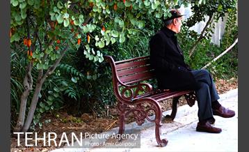 بوستان گفتگو‎ 30