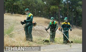 علف زنی بوستانهای تهران برای مقابله با آتش سوزی 25