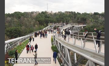 روز طبیعت در اراضی عباس آباد  11