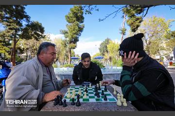 میدان نبوت در ایام نوروز 14