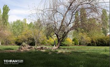 بوستان بانوان نرگس 39