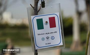 آیین درختکاری در منطقه‌5 32