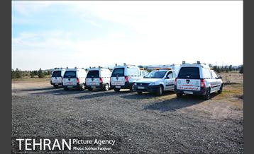 مرکز نگهداری سگ های بدون صاحب  17