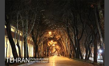 بازدید معاونین فنی و عمران کلانشهرهای ایران از پروژه های عمرانی شهر اصفهان 3