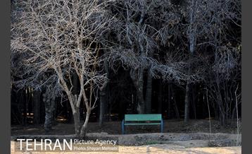 پارک جنگلی سرخه حصار 35