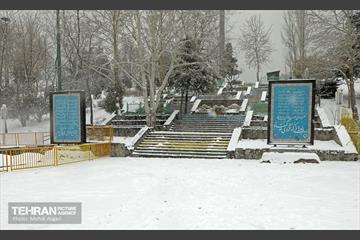 بارش برف زمستانی در منطقه ۲ 28