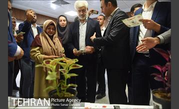 بازدید معاونت اجتماعی از پروژه های اجتماعی و فرهنگی منطقه ۲ تهران 26