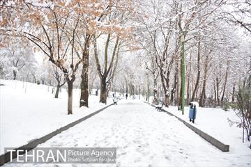 روز برفی تهران در بوستان ملت 17