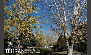 بوستان باغ نو 9