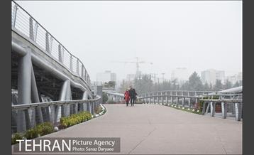 بارش باران در منطقه گردشگری عباس آباد 18